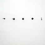 Row of Simple Hooks mounted on a white wall, front view