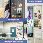 Magnetic sleeves displaying photographs on a refrigerator, whiteboard and locker