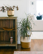 Copper Prado woven basket styled with a plant beside a wooden cabinet